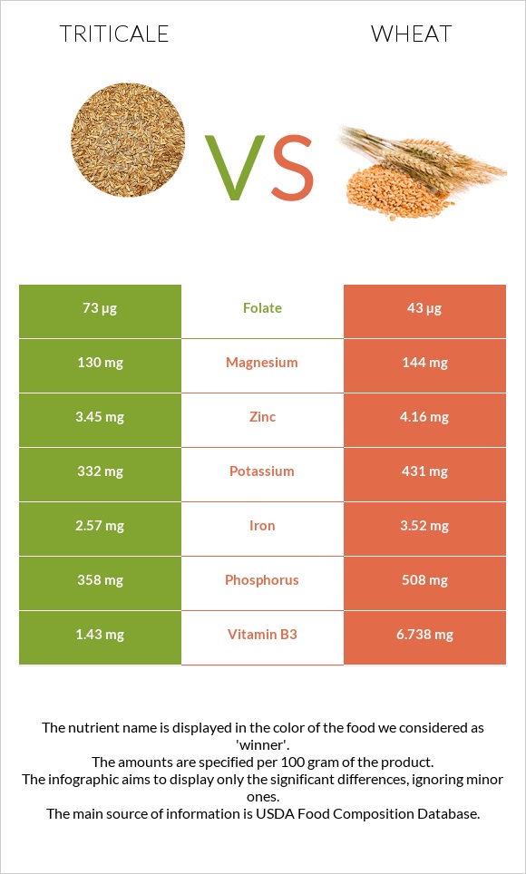 Triticale vs Wheat infographic