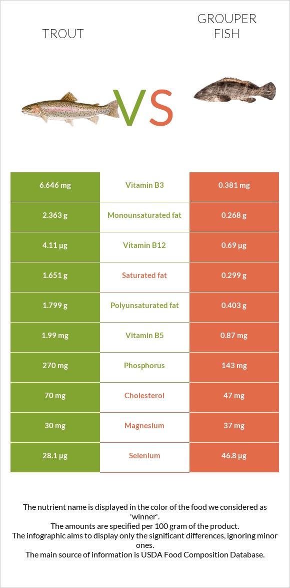 Trout vs Grouper fish infographic