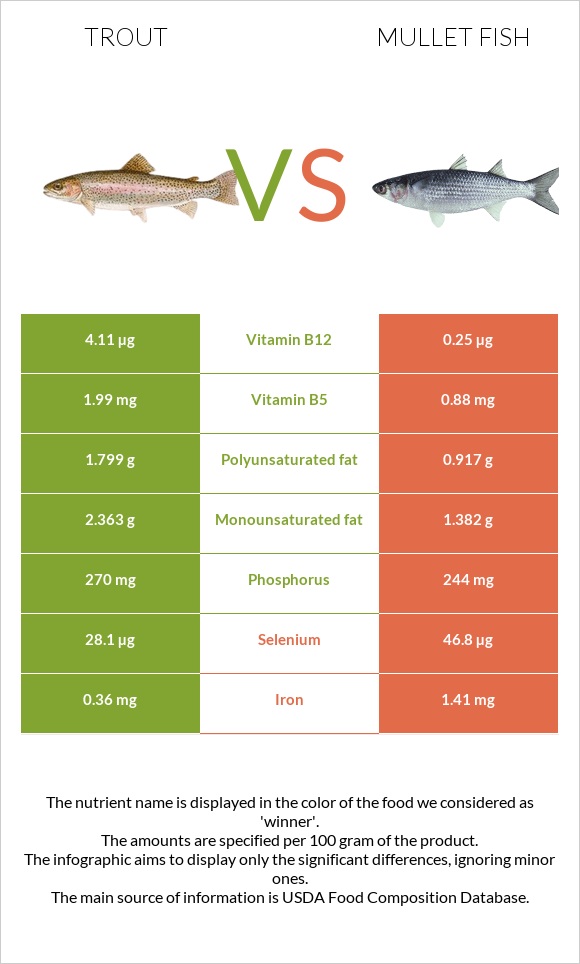 Trout vs Mullet fish infographic