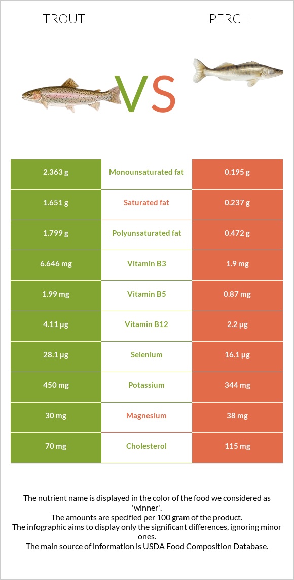 Trout vs Perch infographic