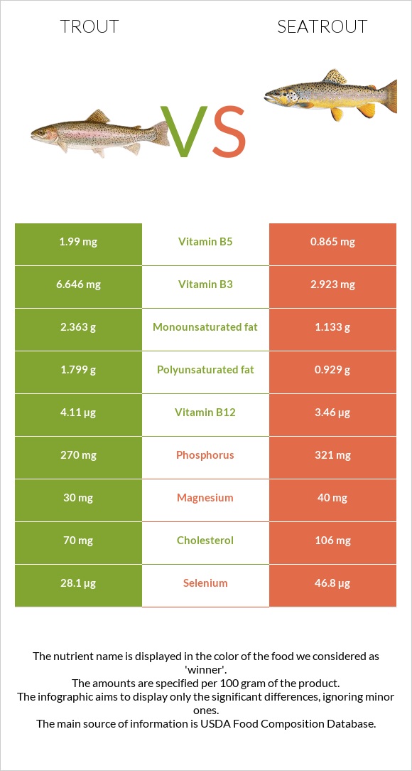 Trout vs Seatrout infographic