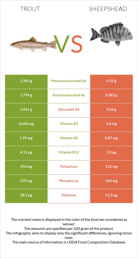 Trout vs Sheepshead infographic