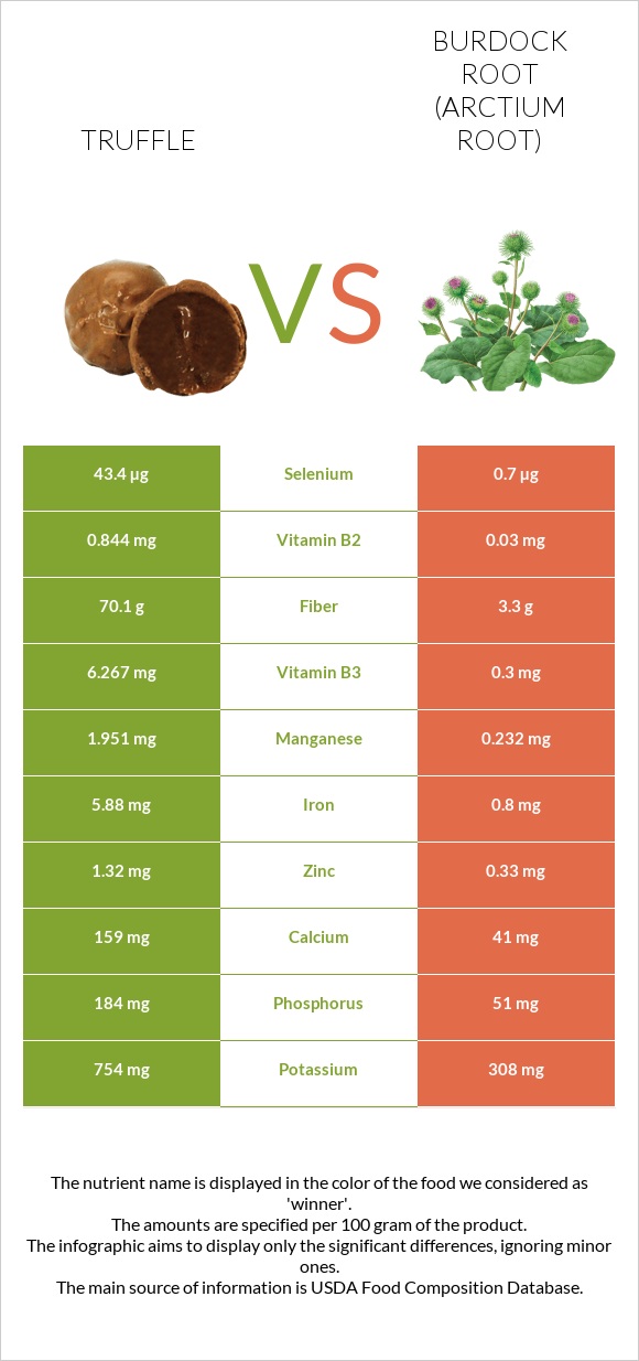 Truffle vs Burdock root infographic