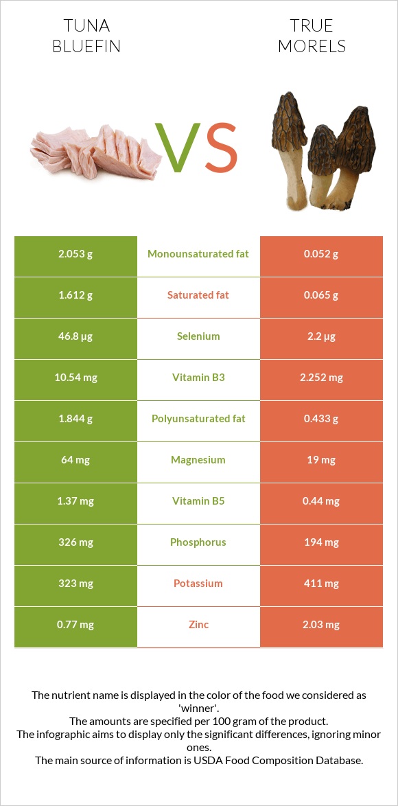 Tuna Bluefin vs True morels infographic