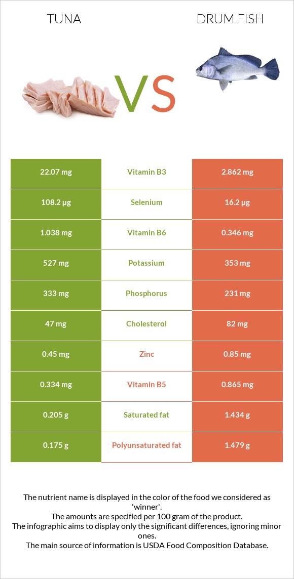 Tuna vs Drum fish infographic