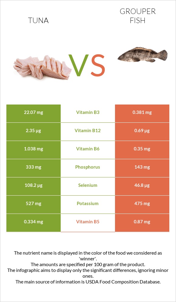 Tuna vs Grouper fish infographic