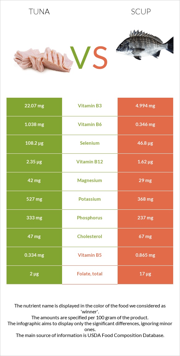 Tuna vs Scup infographic