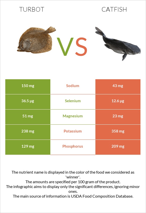 Turbot vs Catfish infographic