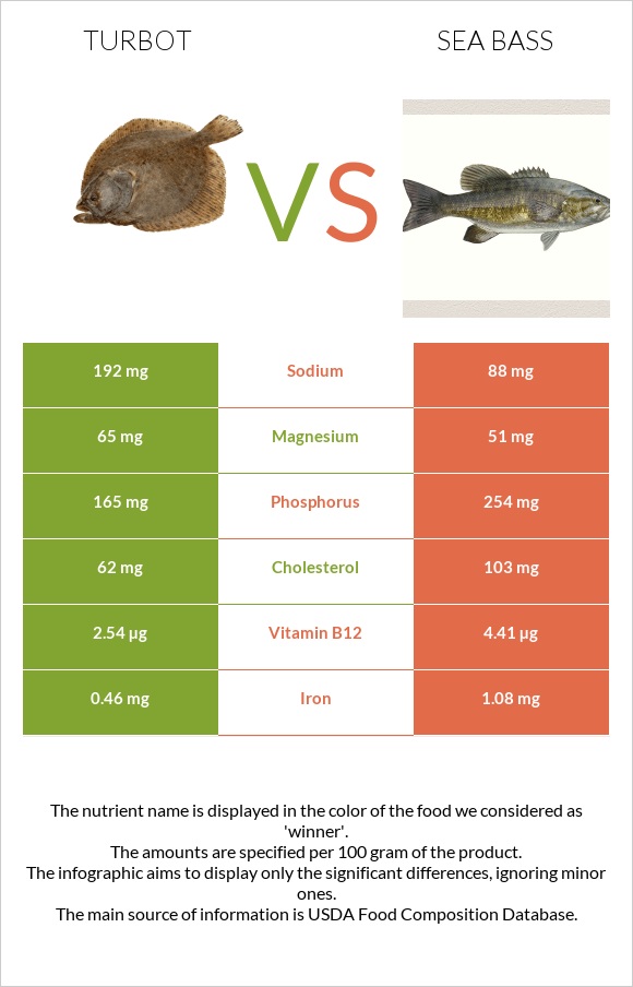 Turbot vs Bass infographic