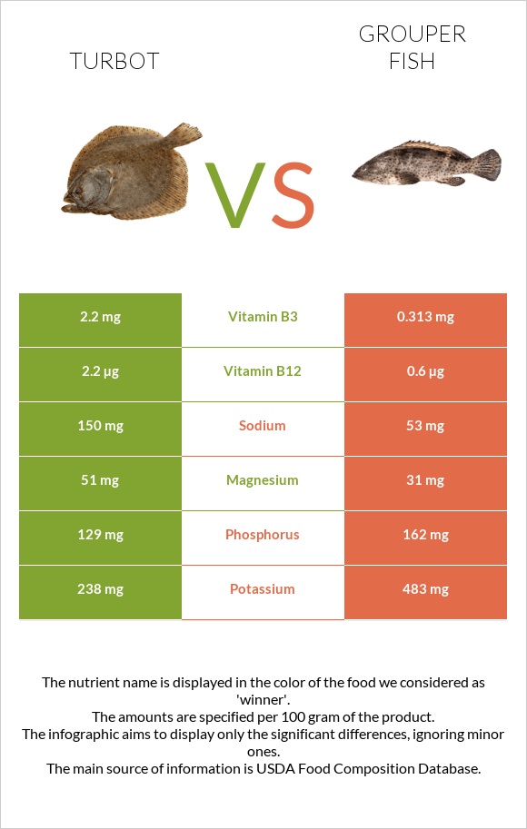 Turbot vs Grouper fish infographic