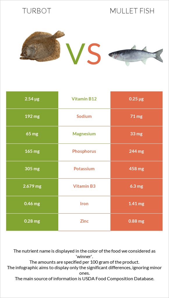 Turbot vs Mullet fish infographic