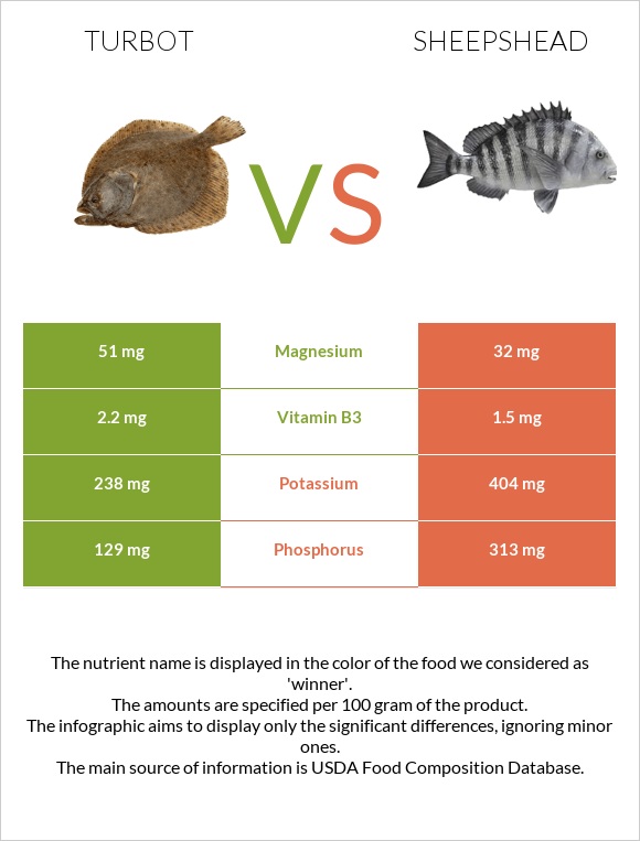 Turbot vs Sheepshead infographic