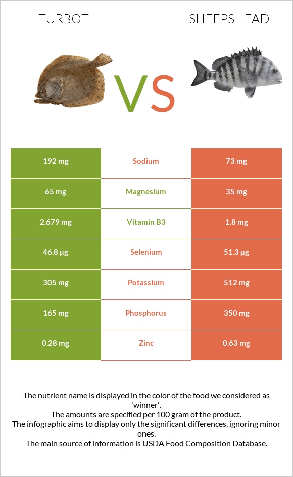 Turbot vs Sheepshead infographic