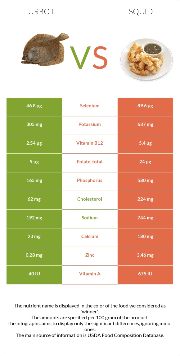 Turbot vs Տապակած կաղամար infographic