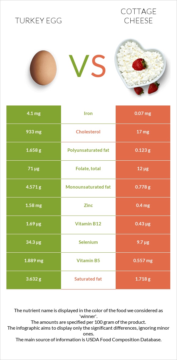 Turkey egg vs Cottage cheese infographic