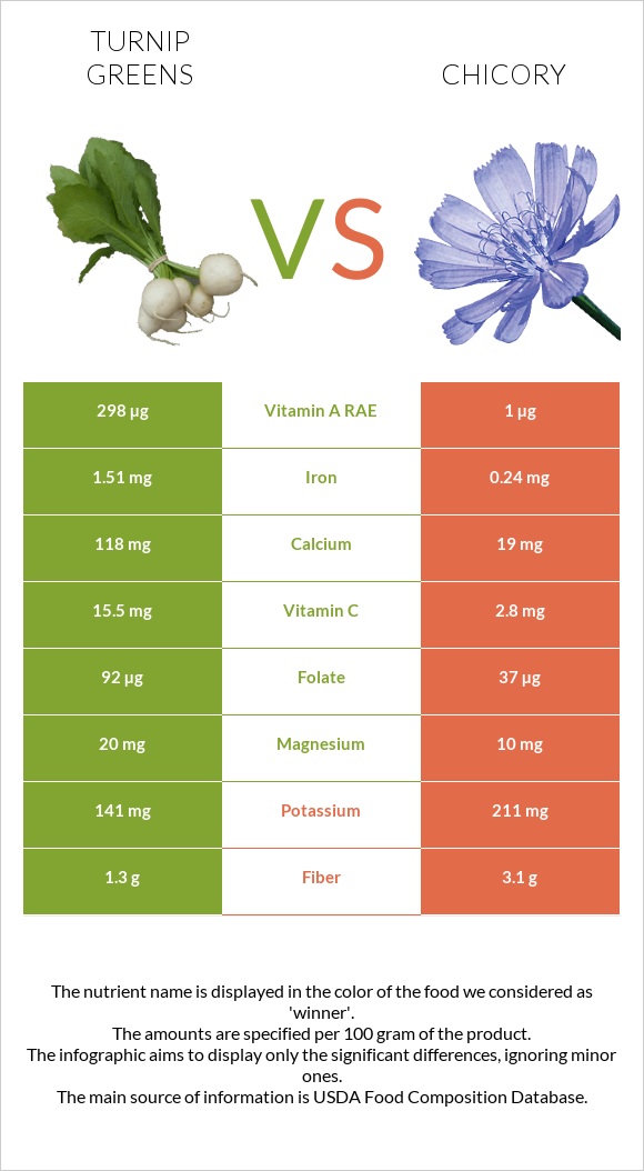 Turnip greens vs Chicory infographic