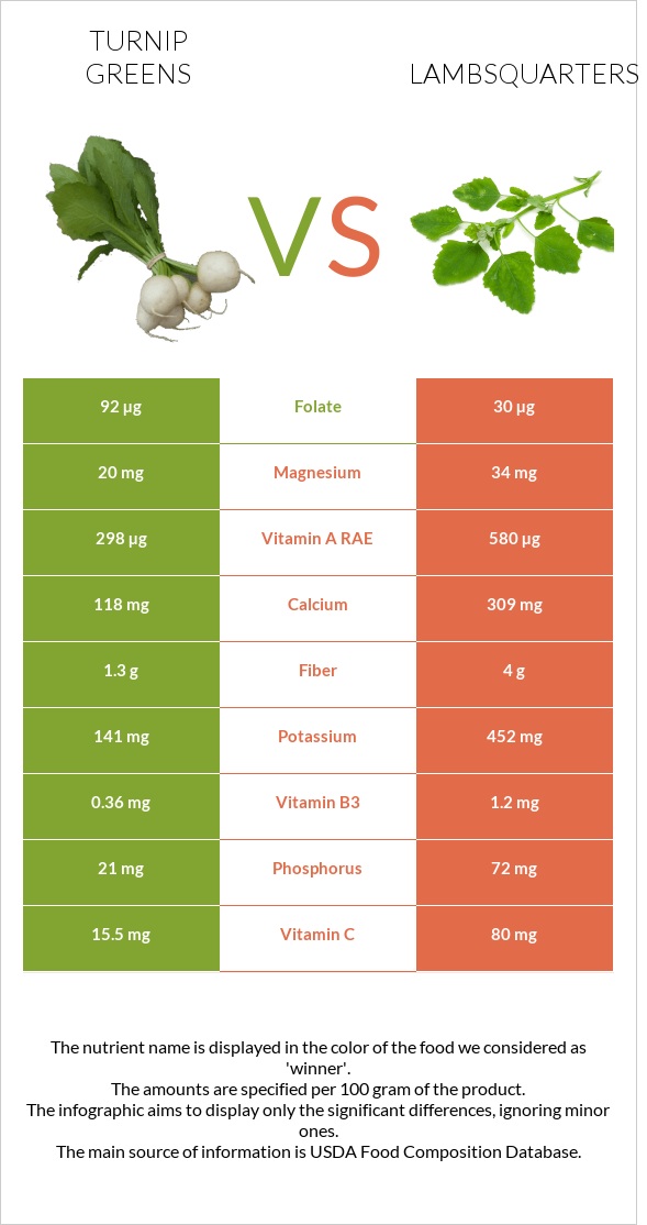 Turnip greens vs Lambsquarters infographic