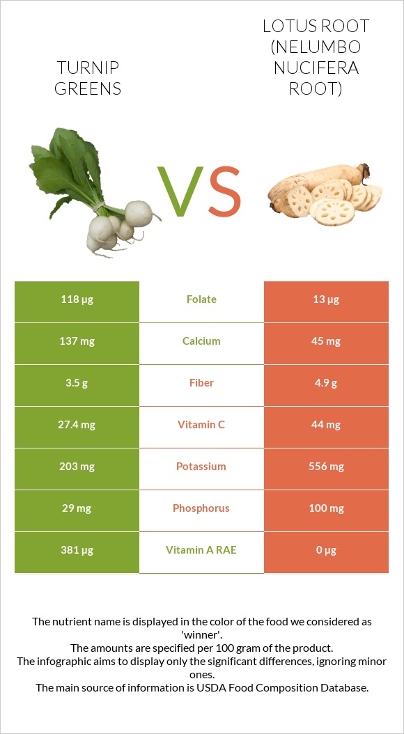 Turnip greens vs Lotus root infographic