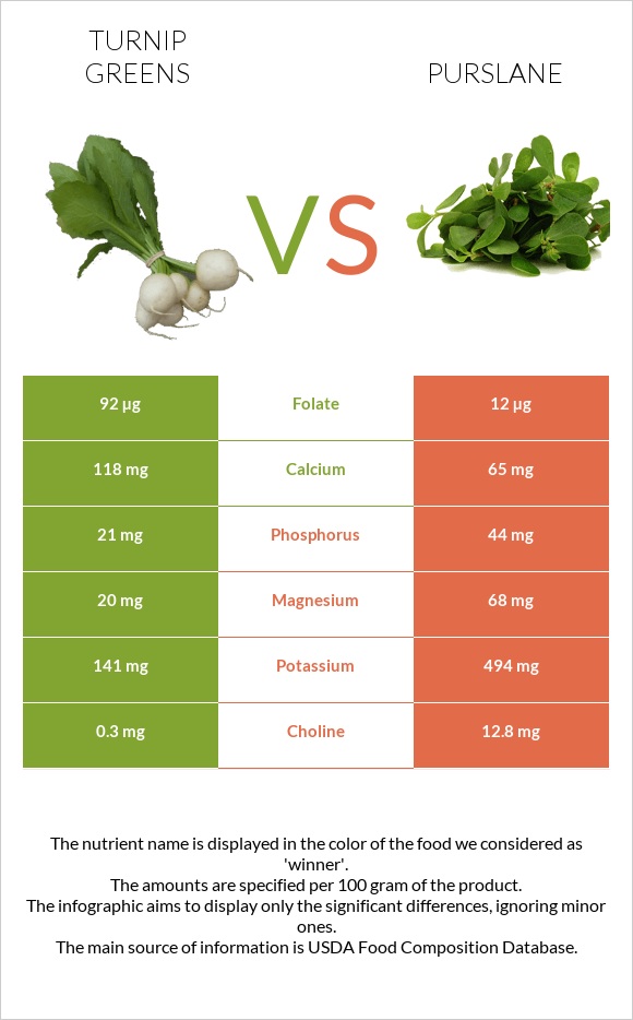 Turnip greens vs Purslane infographic