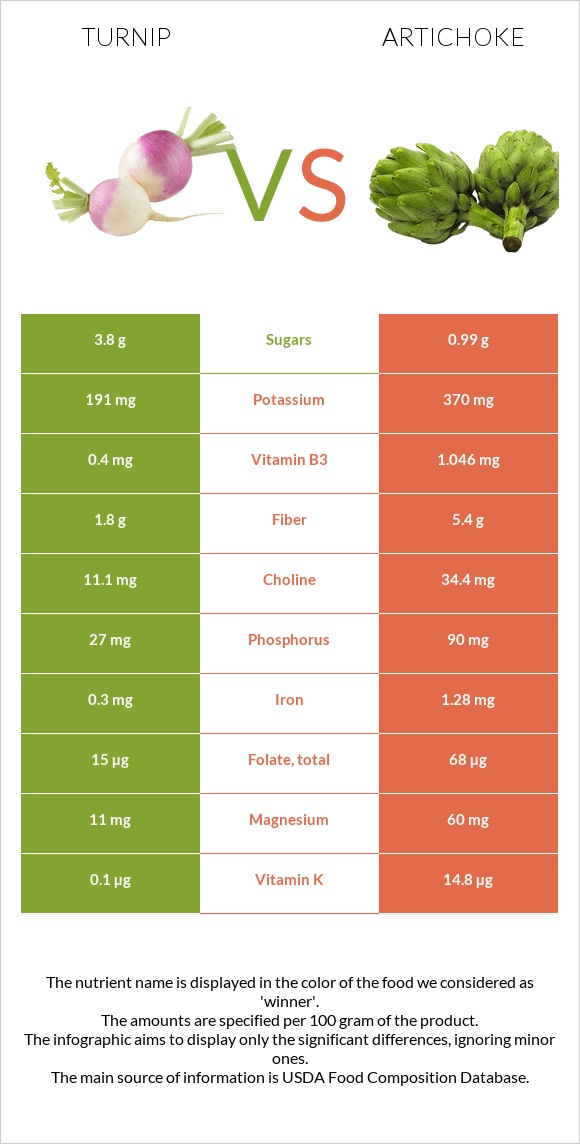 Turnip vs Artichoke infographic