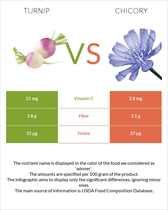 Turnip vs Chicory infographic