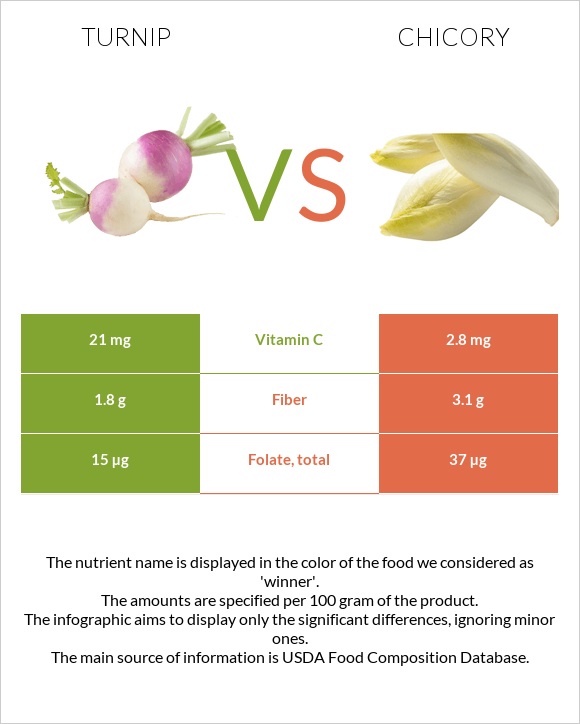 Turnip vs Chicory infographic