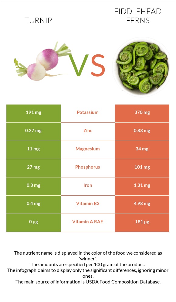 Turnip vs Fiddlehead ferns infographic