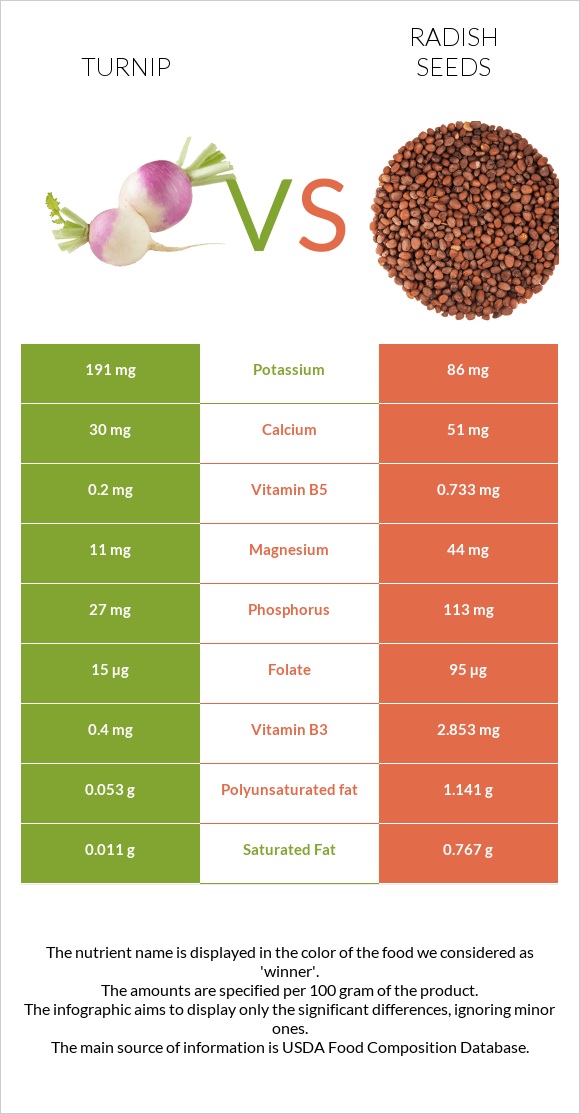 Շաղգամ vs Radish seeds infographic