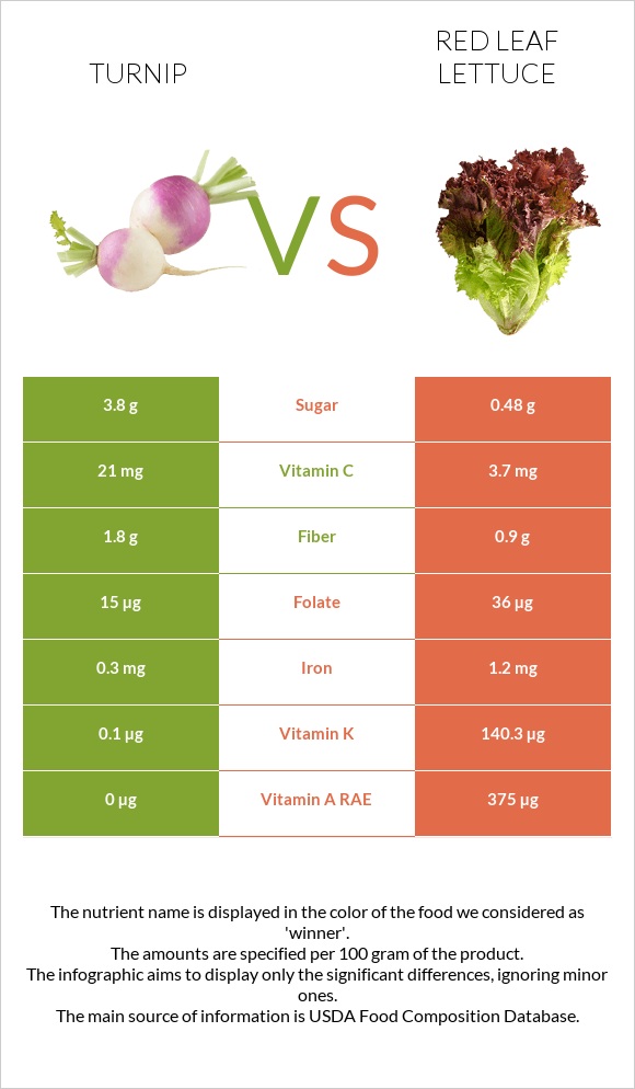 Շաղգամ vs Red leaf lettuce infographic