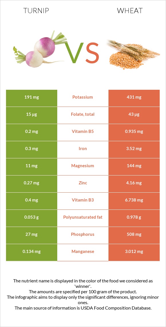 Շաղգամ vs Ցորեն infographic