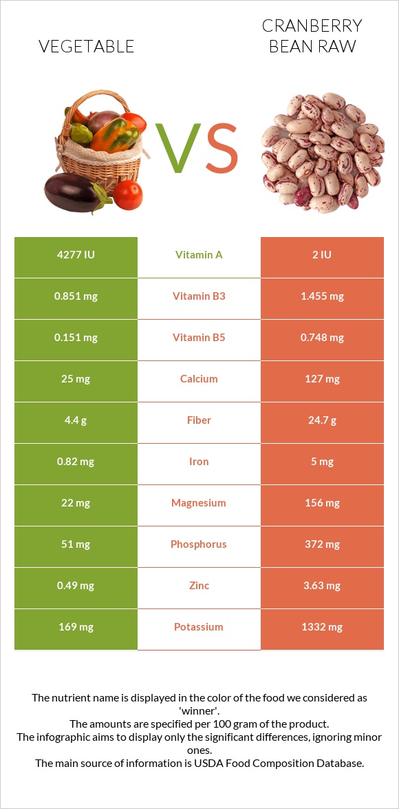 Vegetable vs Cranberry bean raw infographic