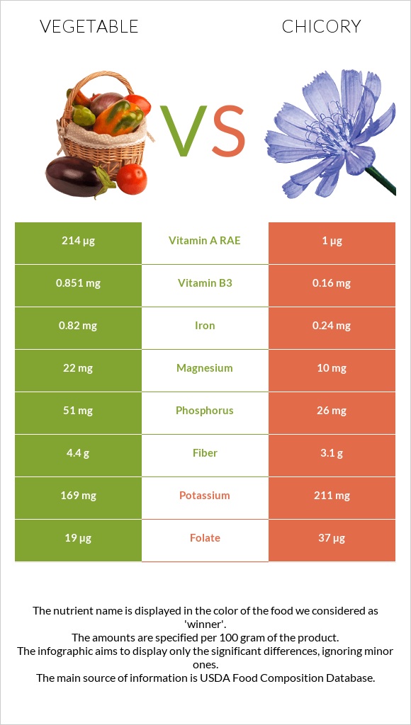 Vegetable vs Chicory infographic