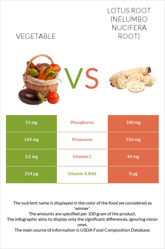 Vegetable vs Lotus root infographic