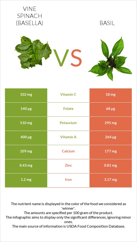 Vine spinach (basella) vs Basil infographic