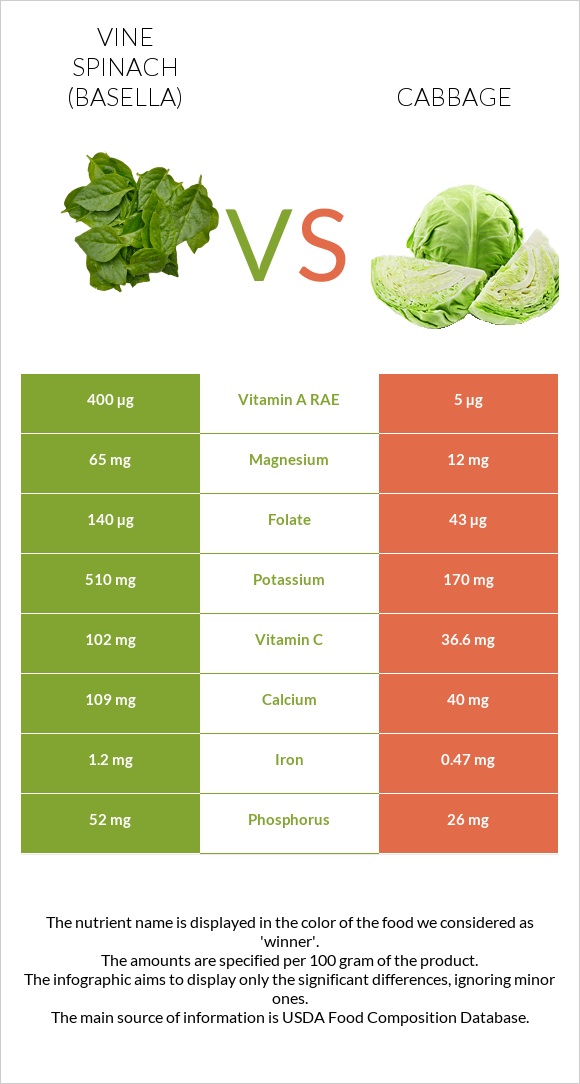 Vine spinach (basella) vs Cabbage infographic
