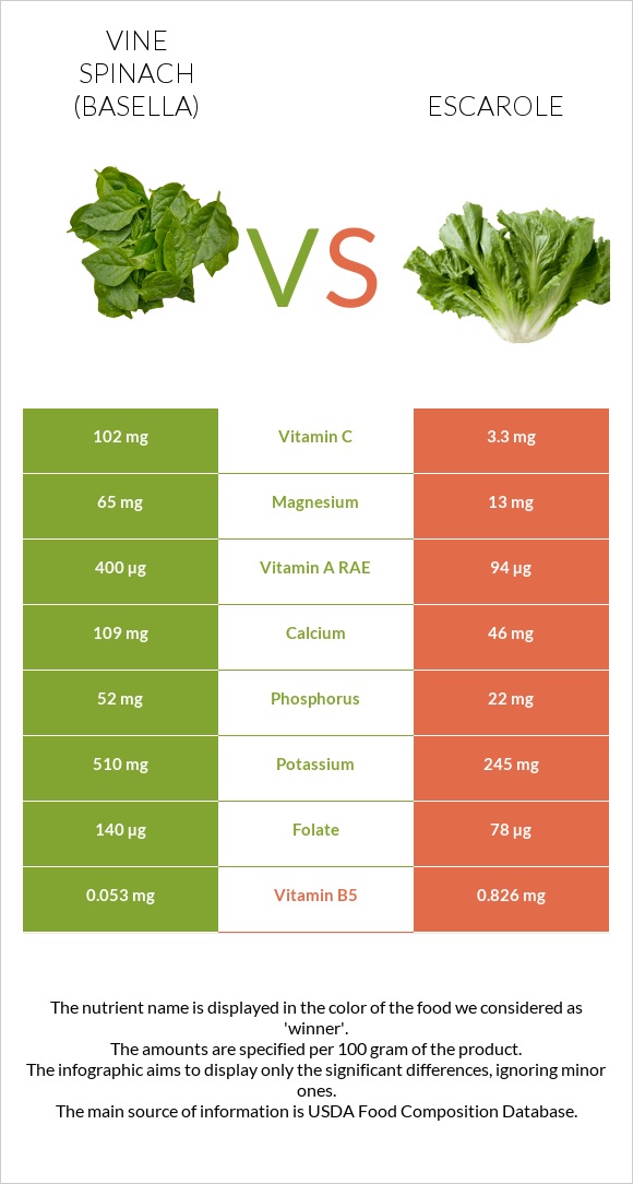 Vine spinach (basella) vs Escarole infographic