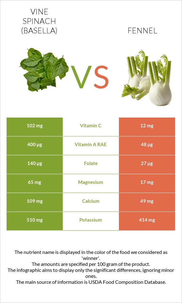 Vine spinach (basella) vs Fennel infographic