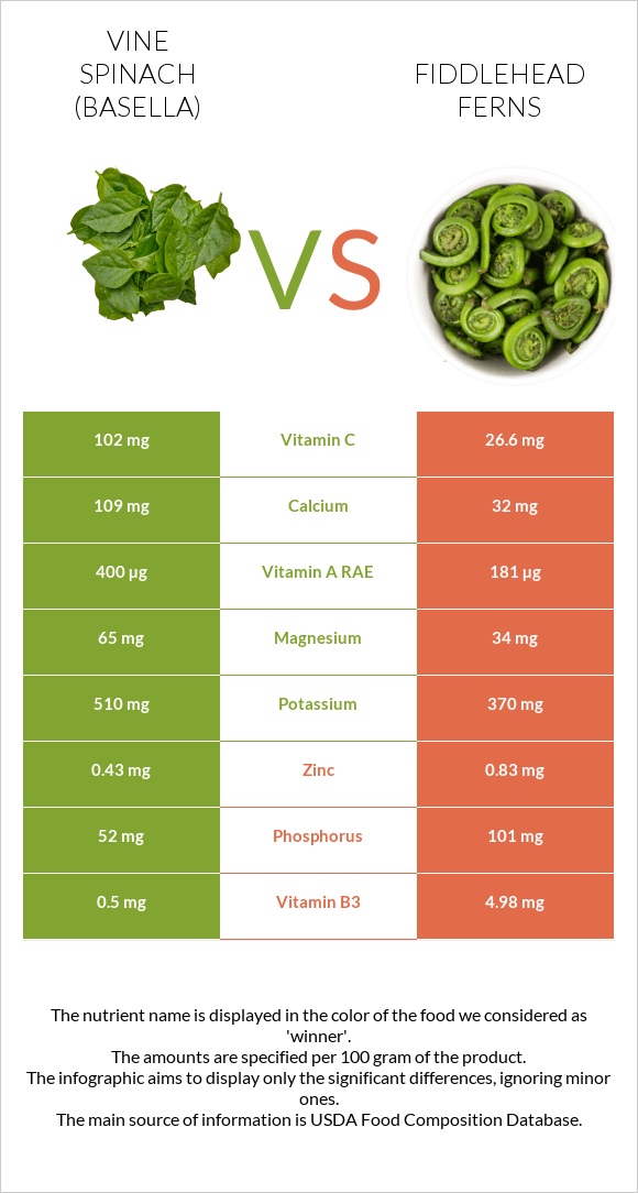 Vine spinach (basella) vs Fiddlehead ferns infographic