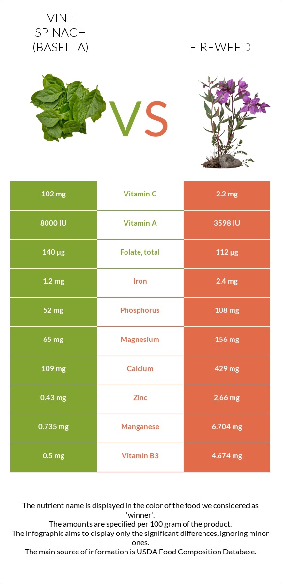 Vine spinach (basella) vs Fireweed infographic