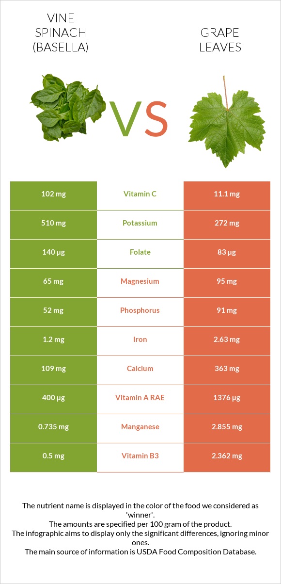 Vine spinach (basella) vs Grape leaves infographic