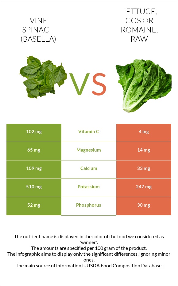 Vine spinach (basella) vs Lettuce, cos or romaine, raw infographic