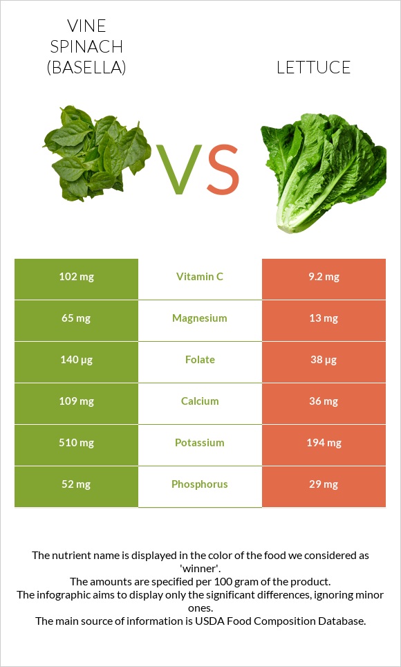 Vine spinach (basella) vs Հազար infographic