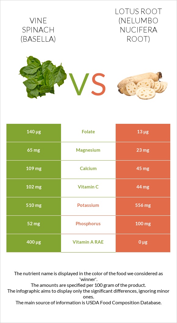 Vine spinach (basella) vs Lotus root infographic
