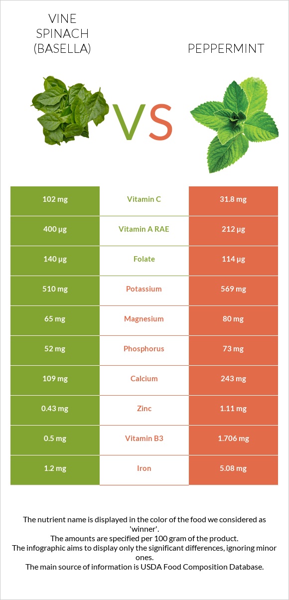 Vine spinach (basella) vs Անանուխ infographic