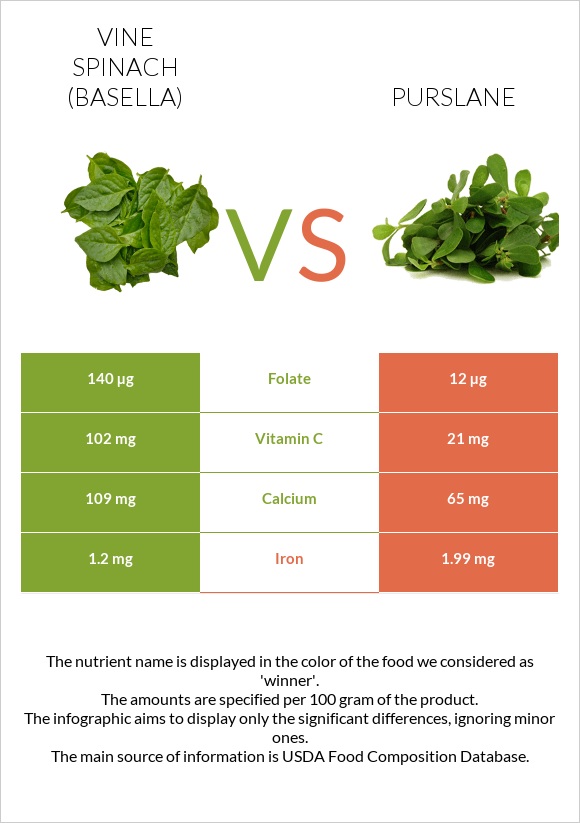 Vine spinach (basella) vs Purslane infographic