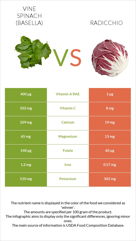 Vine spinach (basella) vs Radicchio infographic