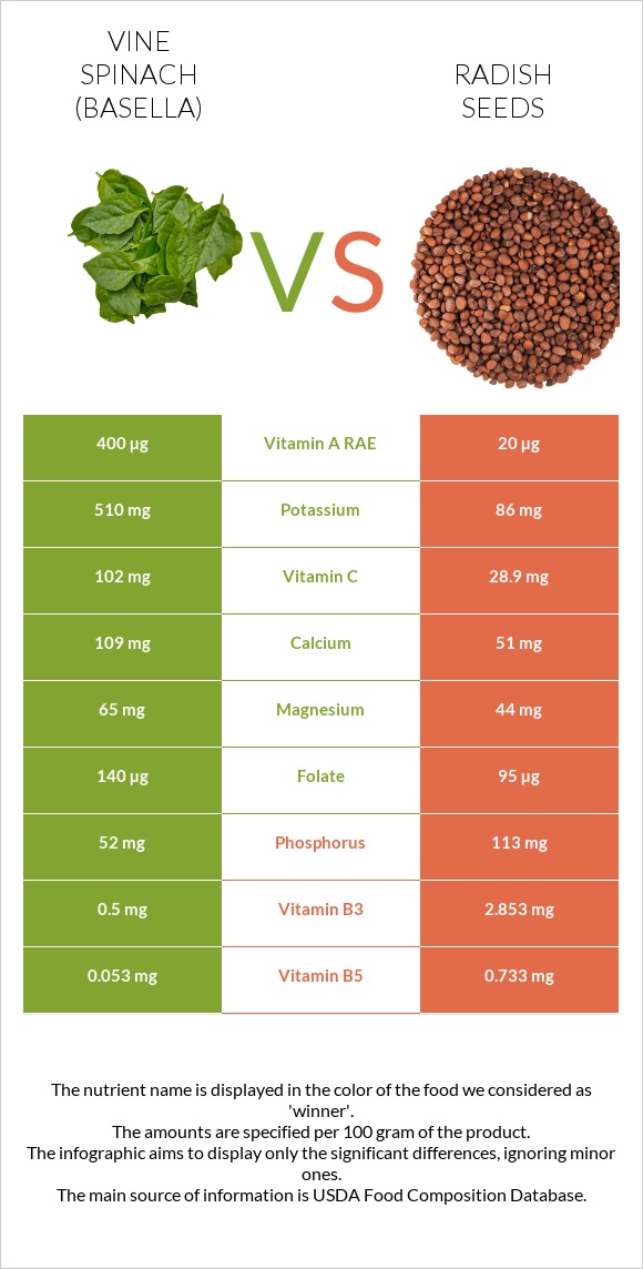 Vine spinach (basella) vs Radish seeds infographic