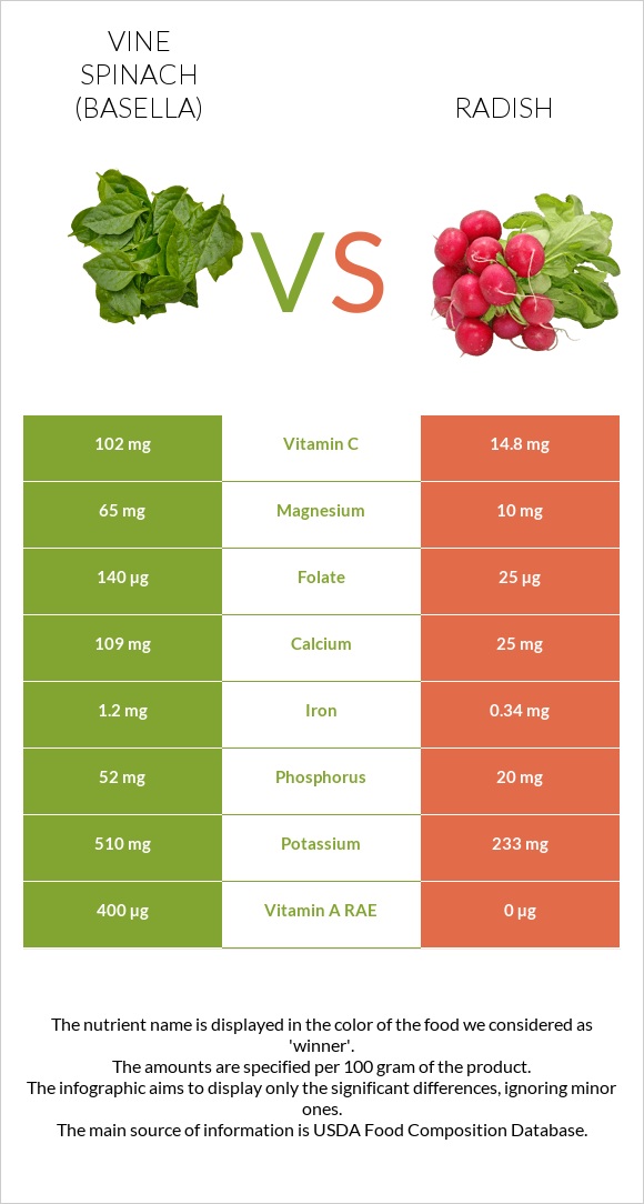 Vine spinach (basella) vs Radish infographic