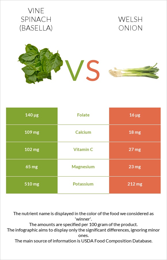 Vine spinach (basella) vs Welsh onion infographic
