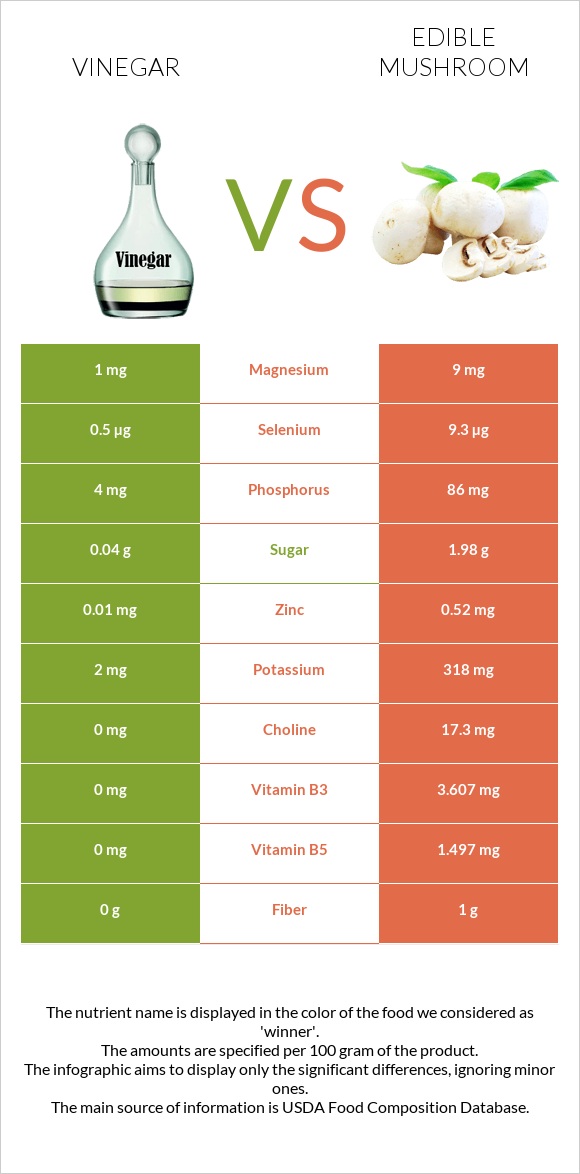 Vinegar vs Edible mushroom infographic